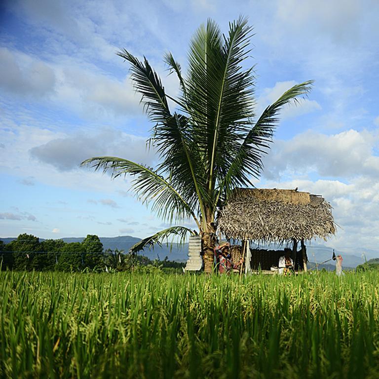 सहारा Sanak Retreat Bali Munduk (Bali)
